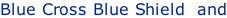 Blue Cross Blue Shield  and